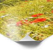 Italien, Monteriggioni, Field View of the Fotodruck (Ecke)