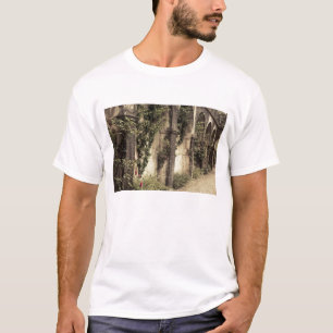 Italien, Provinz Brescia, Gardone Riviera. Garten T-Shirt