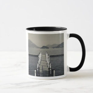 Italien, Provinz Como, Tremezzo. Seehecht Tasse