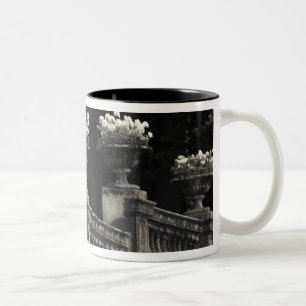 Italien, Provinz Lecco, Varenna. Seeseite Zweifarbige Tasse