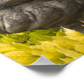 Italien, Provinz Lecco, Varenna. Villa Monastero,  Poster (Ecke)