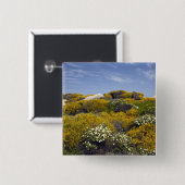 Italien, Sardinien, Santa Teresa Gallura. Capo 3 Button (Vorne & Hinten)