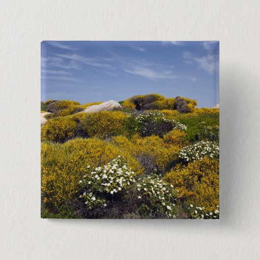 Italien, Sardinien, Santa Teresa Gallura. Capo 3 Button (Vorderseite)