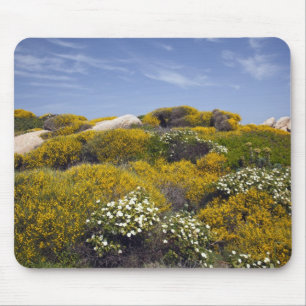Italien, Sardinien, Santa Teresa Gallura. Capo 3 Mousepad