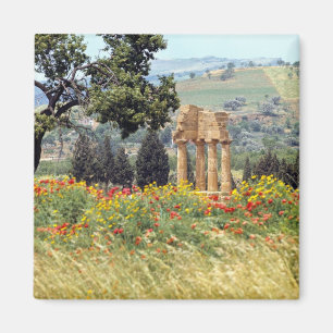Italien, Sizilien, Agrigento. Die Ruinen der Magnet