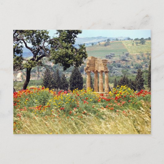 Italien, Sizilien, Agrigento. Die Ruinen der Postkarte (Vorderseite)