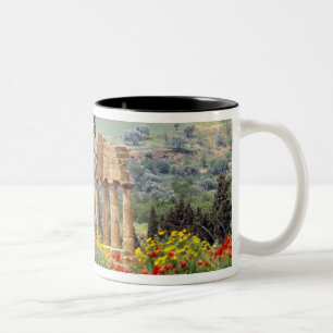 Italien, Sizilien, Agrigento. Die Ruinen der Zweifarbige Tasse