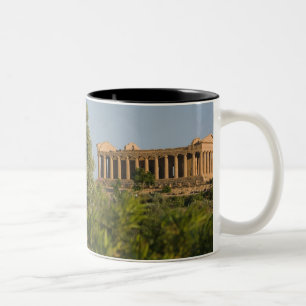 Italien, Sizilien, Agrigento, La Valle dei Templi, Zweifarbige Tasse