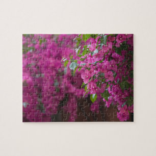 Italien, Sizilien, Cefalu, Blumenreicher Hof von Puzzle