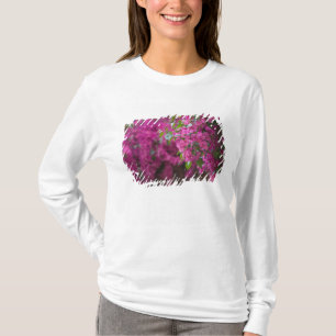 Italien, Sizilien, Cefalu, Blumenreicher Hof von T-Shirt