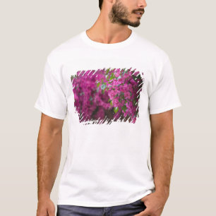 Italien, Sizilien, Cefalu, Blumenreicher Hof von T-Shirt