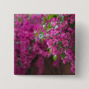 Italien, Sizilien, Cefalu, Hof von Flower Button