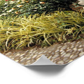 Italien, Sizilien, Palermo. Die Klemme überleben w Poster (Ecke)