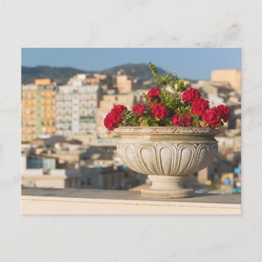 Italien, Sizilien, Termini Imerese, View & Blume Postkarte (Vorderseite)
