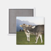 Italien, Südtirol Magnet (Vorderseite/Rückseite)