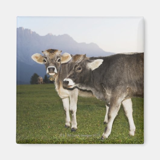 Italien, Südtirol Magnet (Vorne)