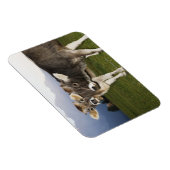 Italien, Südtirol Magnet (Rechte Seite)