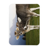 Italien, Südtirol Magnet (Vertikal)
