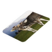 Italien, Südtirol Magnet (Linke Seite)