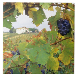 Italien - Toskana Bauernhof durch Fliese