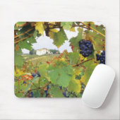 Italien - Toskana Bauernhof durch Mousepad (Mit Mouse)