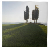 Italien, Toskana, Cypress Trees in der Toskana mit Fliese (Vorderseite)