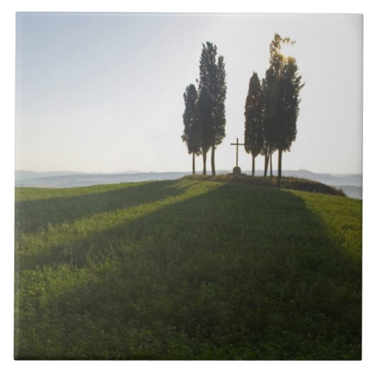 Italien, Toskana, Cypress Trees in der Toskana mit Fliese (Vorderseite)
