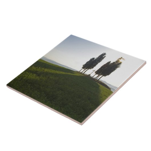 Italien, Toskana, Cypress Trees in der Toskana mit Fliese (Seite)