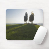 Italien, Toskana, Cypress Trees in der Toskana mit Mousepad (Mit Mouse)