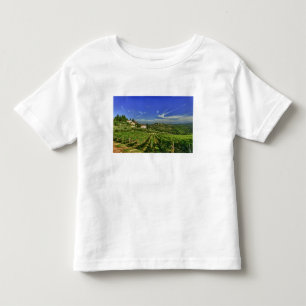Italien, Toskana, Greve. Die Weinberge von Castell Kleinkind T-shirt