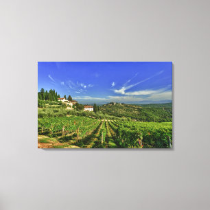 Italien, Toskana, Greve. Die Weinberge von Castell Leinwanddruck
