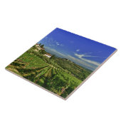 Italien, Toskana, Greve. Die Weinberge von Fliese (Seite)