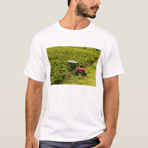 Italien, Toskana, Greve. Erntehelfer bei der Arbei T-Shirt