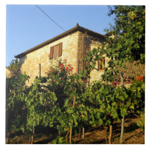 Italien, Toskana, Greve. Spätere Sommertöne Fliese