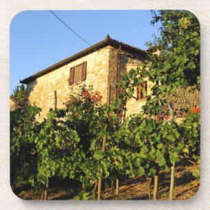 Italien, Toskana, Greve. Weinlandschaft im Spätsom Getränkeuntersetzer