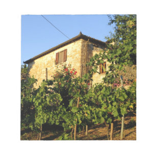 Italien, Toskana, Greve. Weinlandschaft im Spätsom Notizblock
