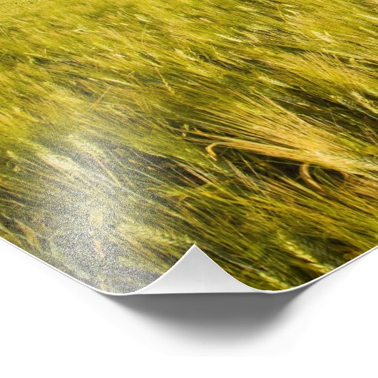 Italien, Toskana, Gruppe der Toskana 2 Fotodruck (Ecke)