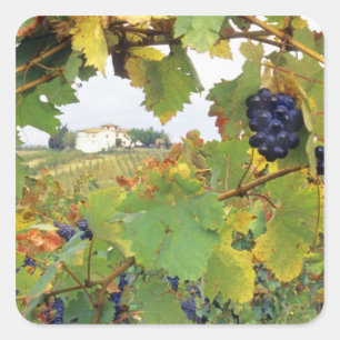 Italien - Toskana Landhaus durch Quadratischer Aufkleber