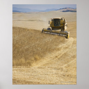 Italien. Toskana. Montalcino 4 Poster