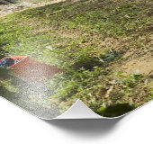 Italien, Toskana, Montalcino. geerntete Knochen Fotodruck (Ecke)