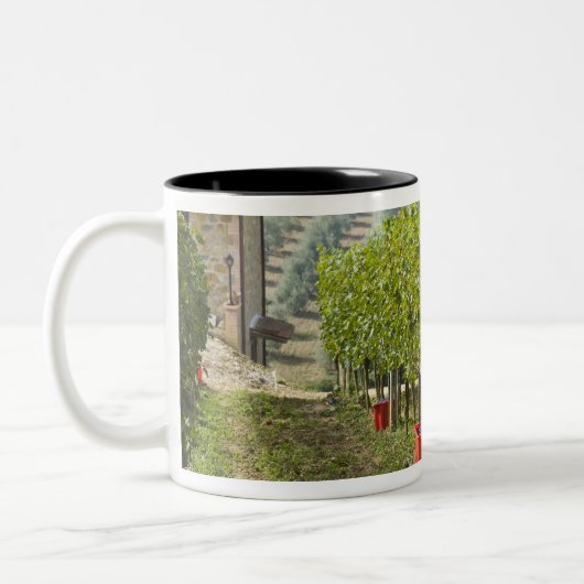 Italien, Toskana, Montalcino. geerntete Knochen Zweifarbige Tasse (Links)
