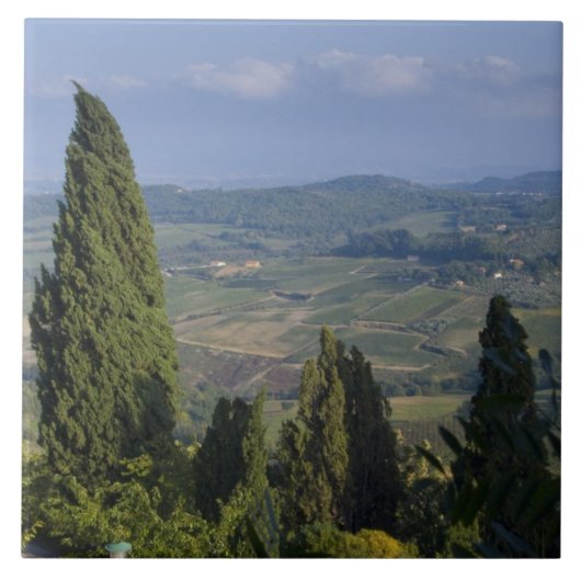 Italien, Toskana, Montepulciano. Ansicht der Fliese (Vorderseite)