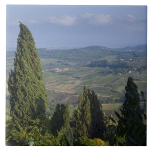 Italien, Toskana, Montepulciano. Blick auf die Fliese