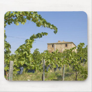 Italien, Toskana, Montepulciano. Weintrauben ferti Mousepad