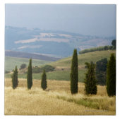 Italien. Toskana. Pienza. Fliese (Vorderseite)