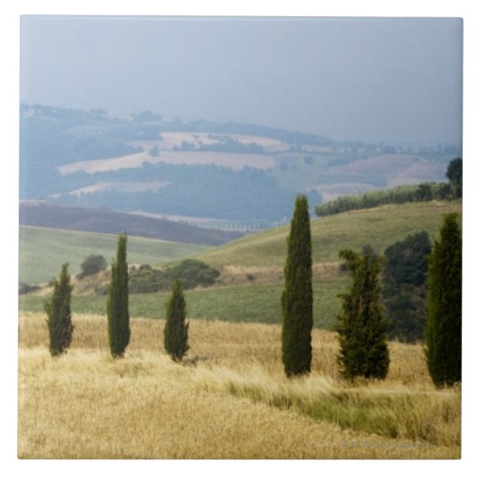 Italien. Toskana. Pienza. Fliese (Vorderseite)