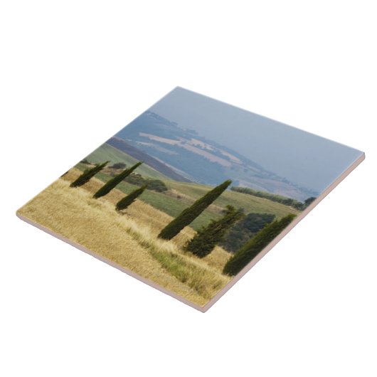 Italien. Toskana. Pienza. Fliese (Seite)