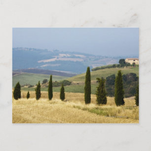 Italien. Toskana. Pienza. Postkarte