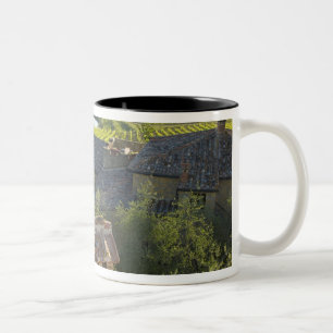 Italien, Toskana. Roofop Ansicht des Landhauses Zweifarbige Tasse