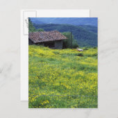 Italien, Toskana, Siena, Chianti. Postkarte (Vorne/Hinten)